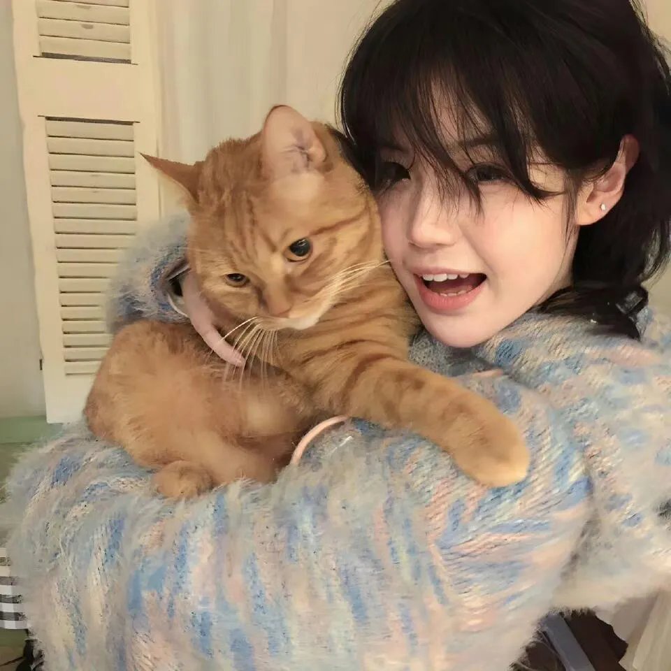 我们不危险 ~冷酷偷懒刑警们~